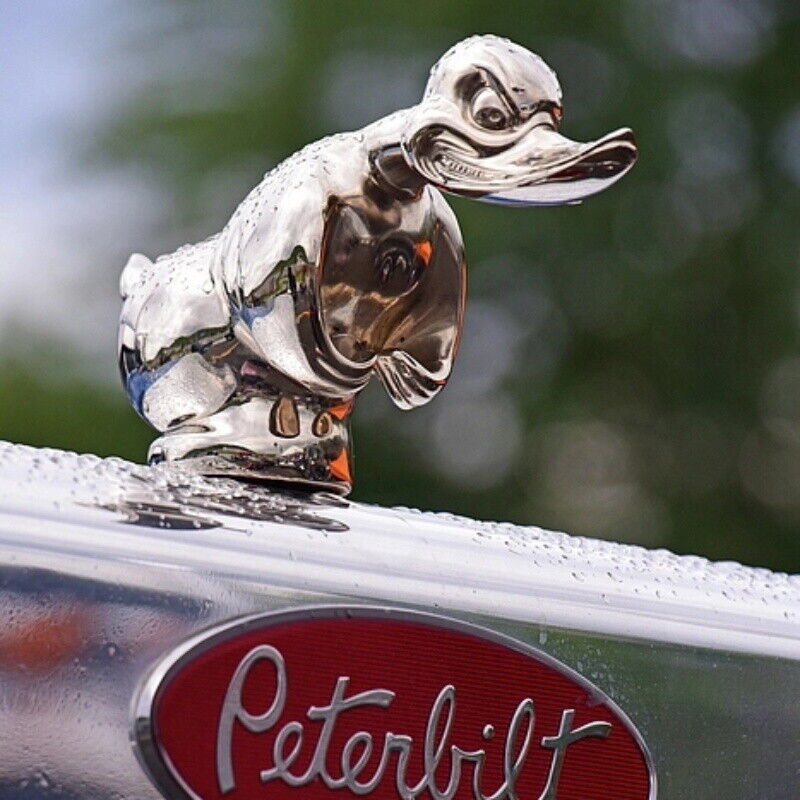 Hood Angry Duck Car Front Orna - đánh giá và giá Art Craft Duck