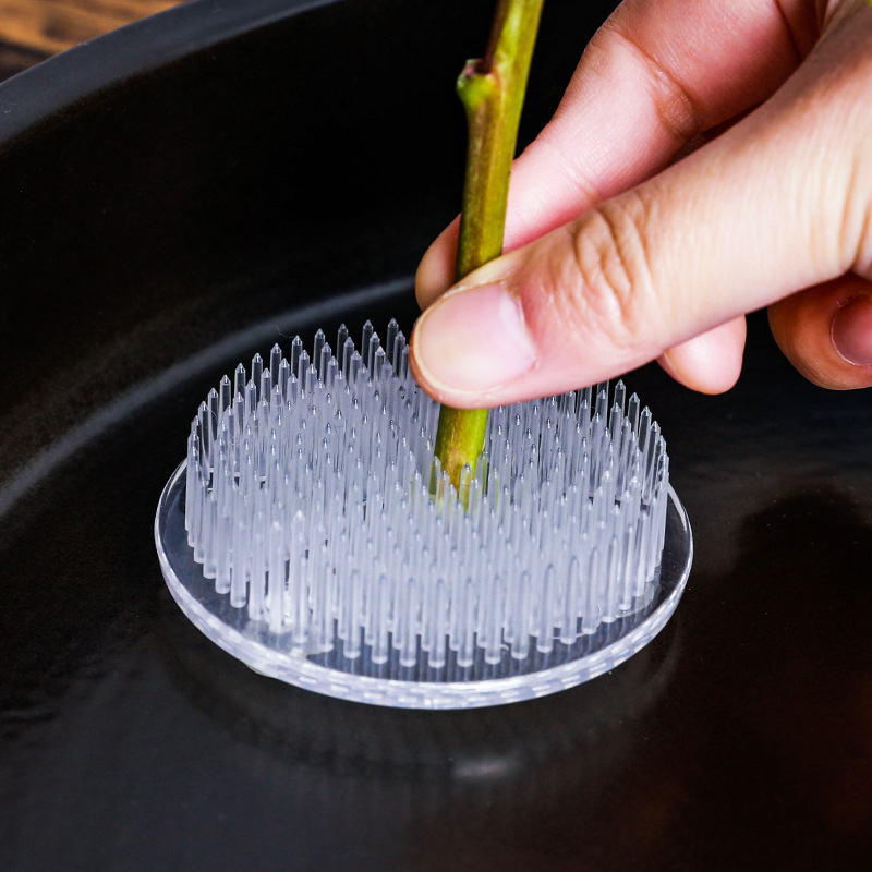 Round Ikebana Stem Holder Suct - đánh giá và giá Art Craft Vase