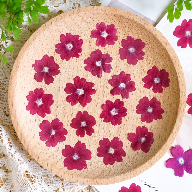 50pcs/1.5-2cm,Pressed Dried Ve - đánh giá và giá Art Craft 2 Year Olds