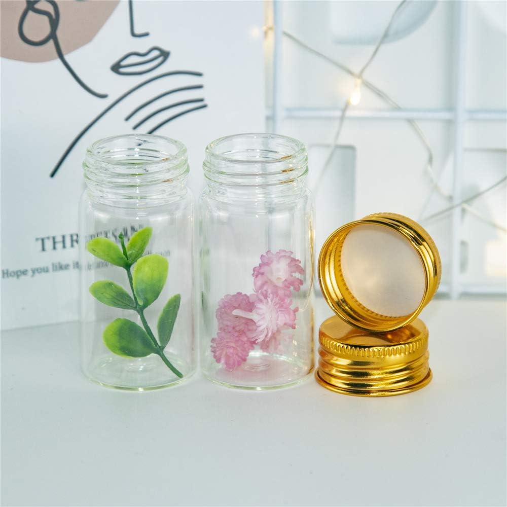50PCS 5ML-100ML Mini Glass Tes - đánh giá và giá Art Craft Youtube