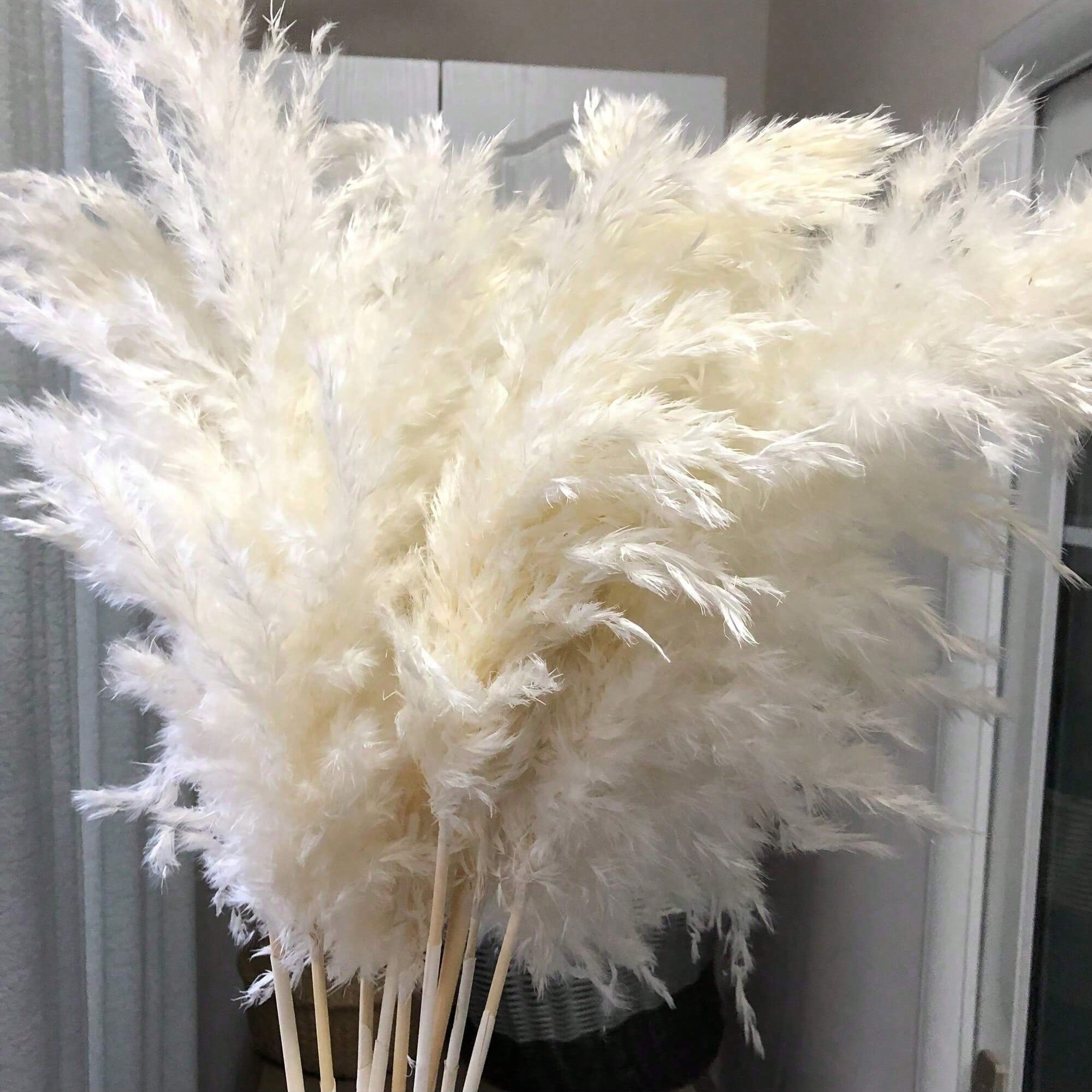 10/20/30pcs White Artificial P - đánh giá và giá Art Craft Vase