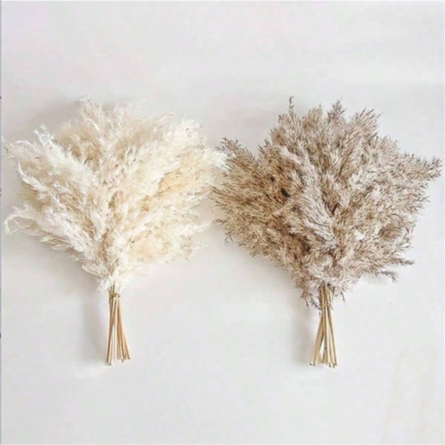 10/20/30pcs White Artificial P - đánh giá và giá Art Craft Vase