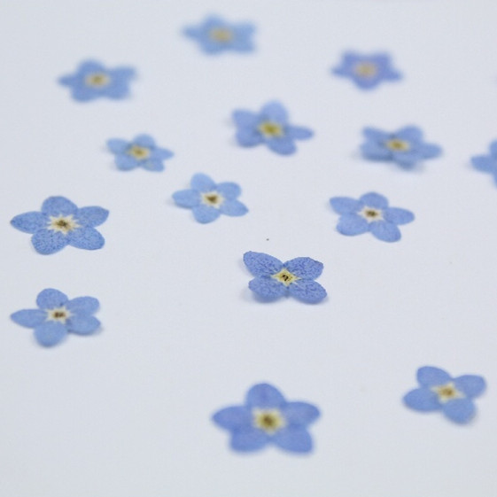 100 Cái/0.5-1Cm, Ép Mini Quên- - đánh giá và giá Art Craft 2 Year Olds