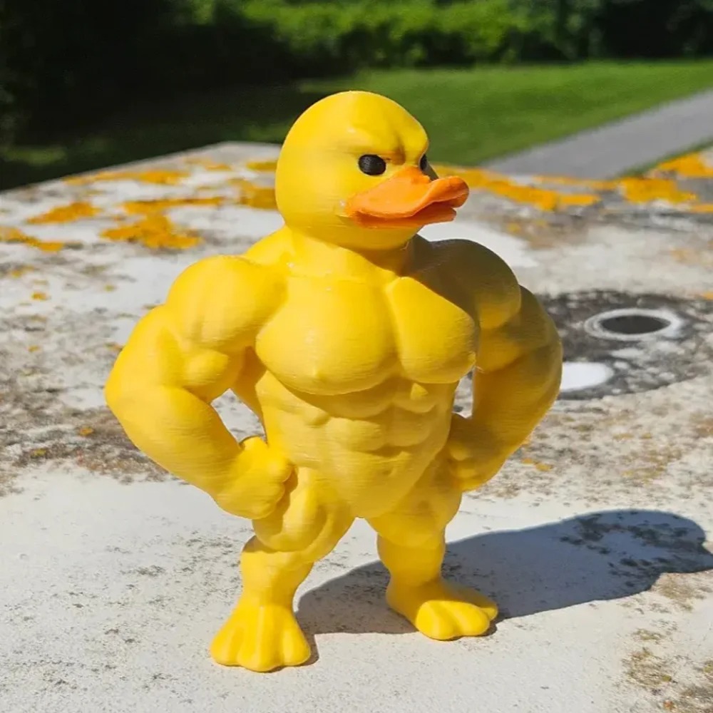 Muscle Duck Statue -3D Desktop - đánh giá và giá Art Craft Duck
